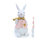 Coelho Rosa com Colete